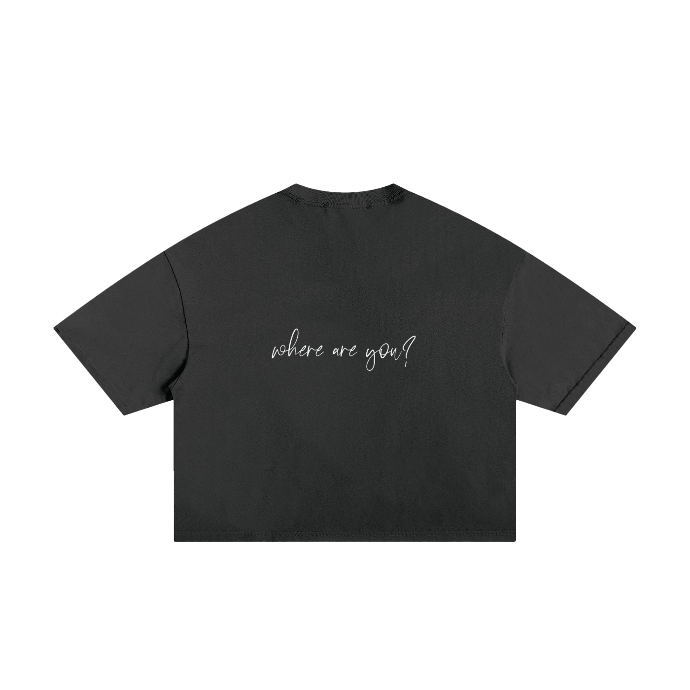archive 1 - Where Are You? Cropped Distressed Tee